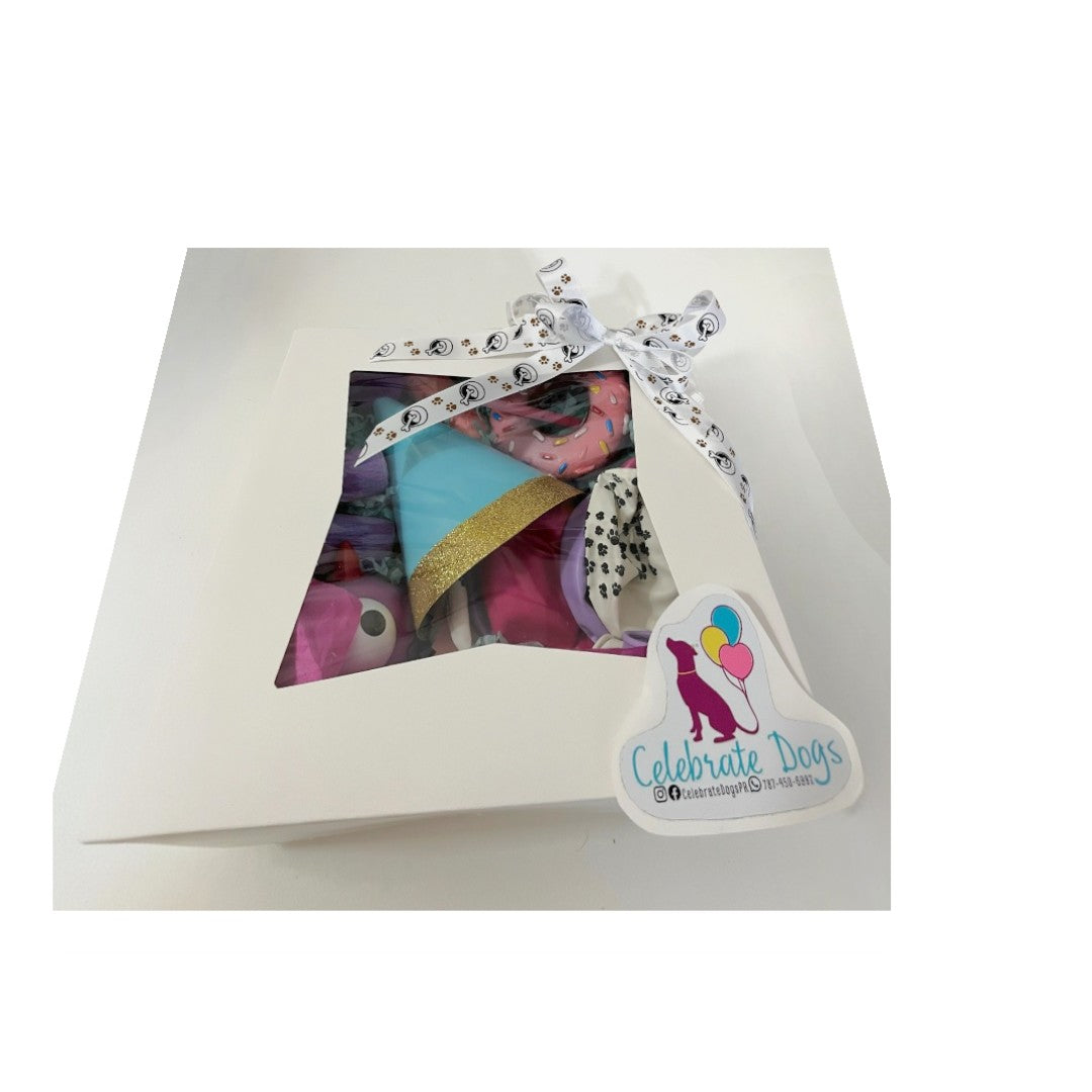 Vibrant Chic Pawty Box
