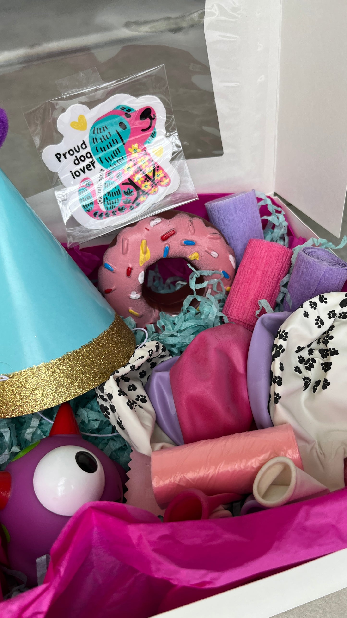 Vibrant Chic Pawty Box