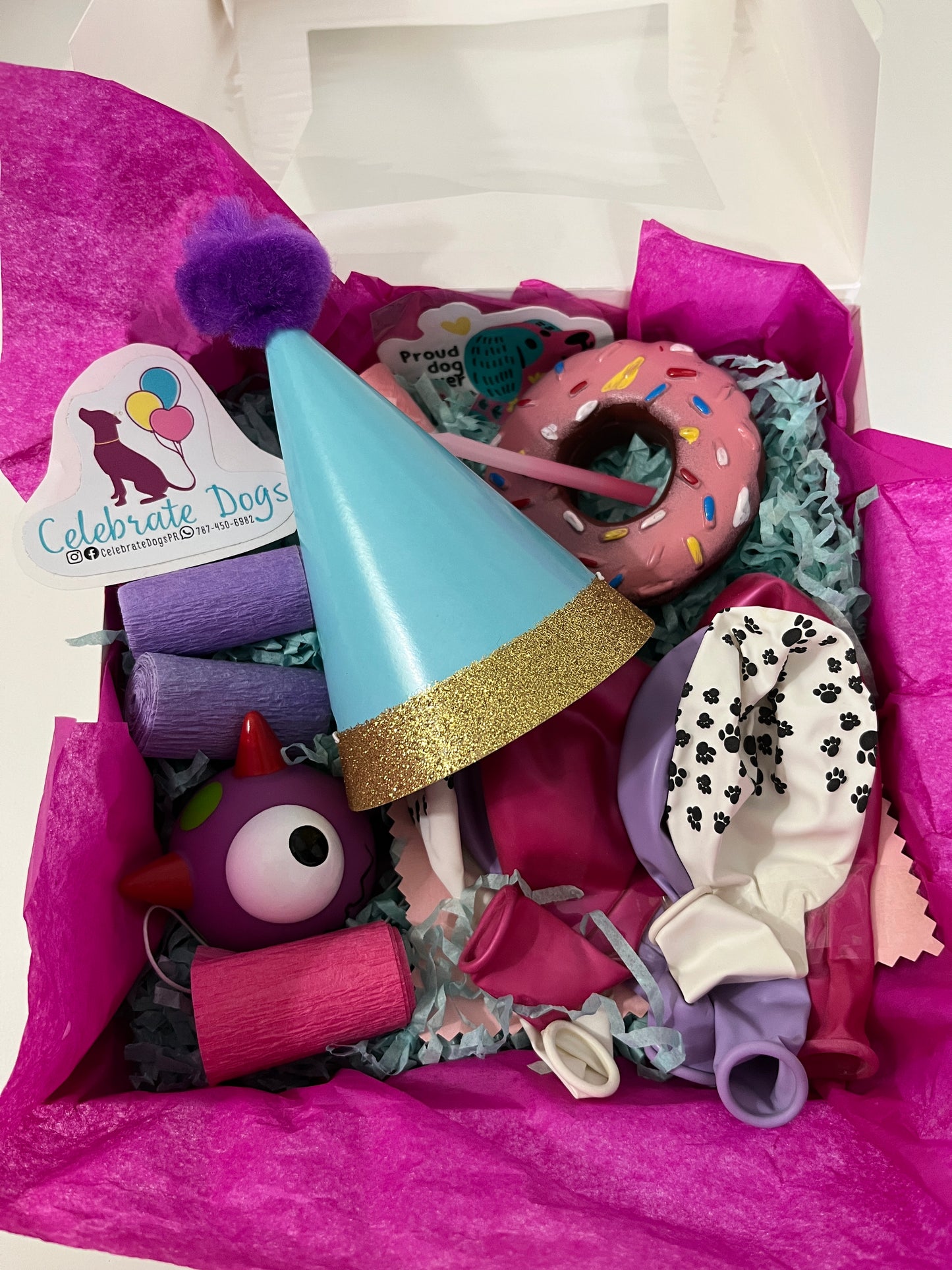 Vibrant Chic Pawty Box