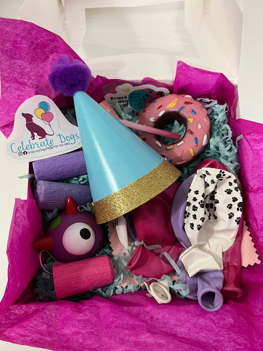Vibrant Chic Pawty Box