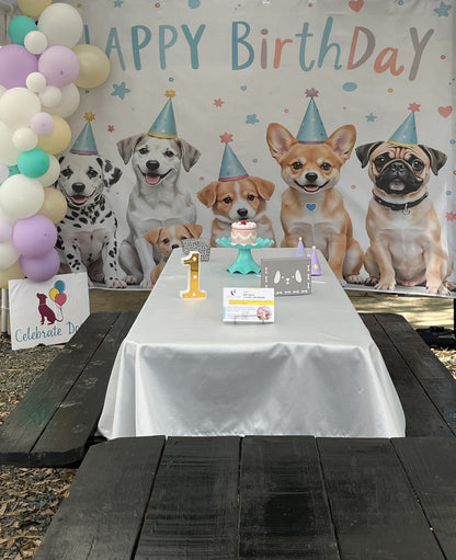 Signature Pawty