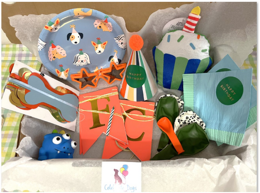 The Doggy Fiesta Box - caja festiva con platos de perritos, gorrito, cupcake de peluche y accesorios en azul y naranja