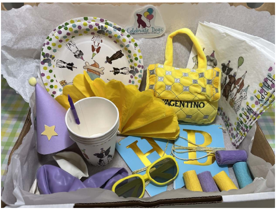 The Wagentino Pawty Box - caja festiva con carterita Wagentino, lentes amarillos y accesorios en amarillo y lavanda
