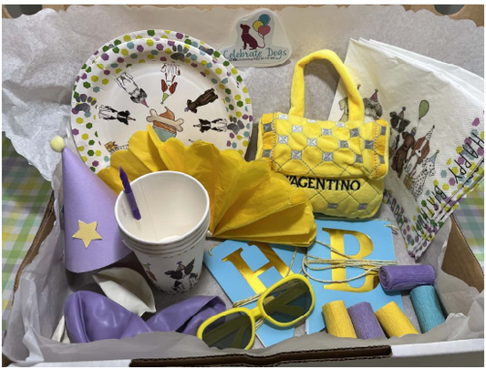 The Wagentino Pawty Box - caja festiva con carterita Wagentino, lentes amarillos y accesorios en amarillo y lavanda